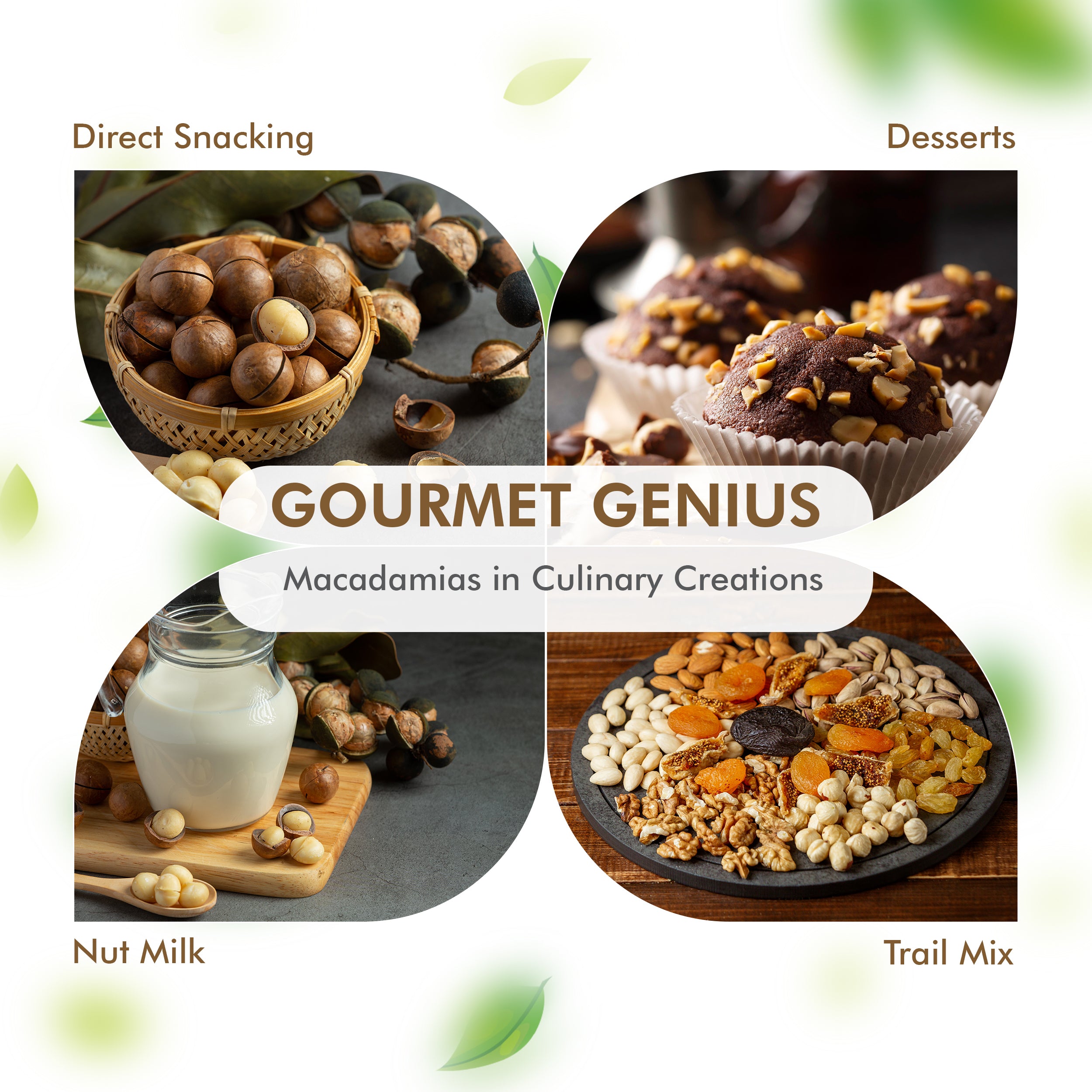 CAREEMZ Chilli & Lime Flavoured Roasted Macadamia Nuts, 450g Pack Size, Vacuum Sealed for Freshness
